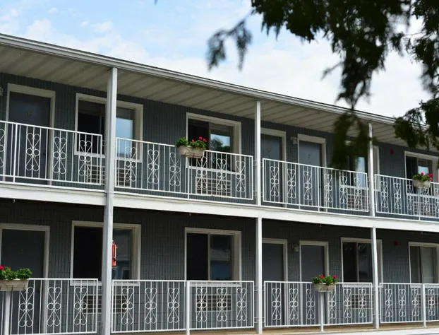 White Rose Motel hotel detail image 2