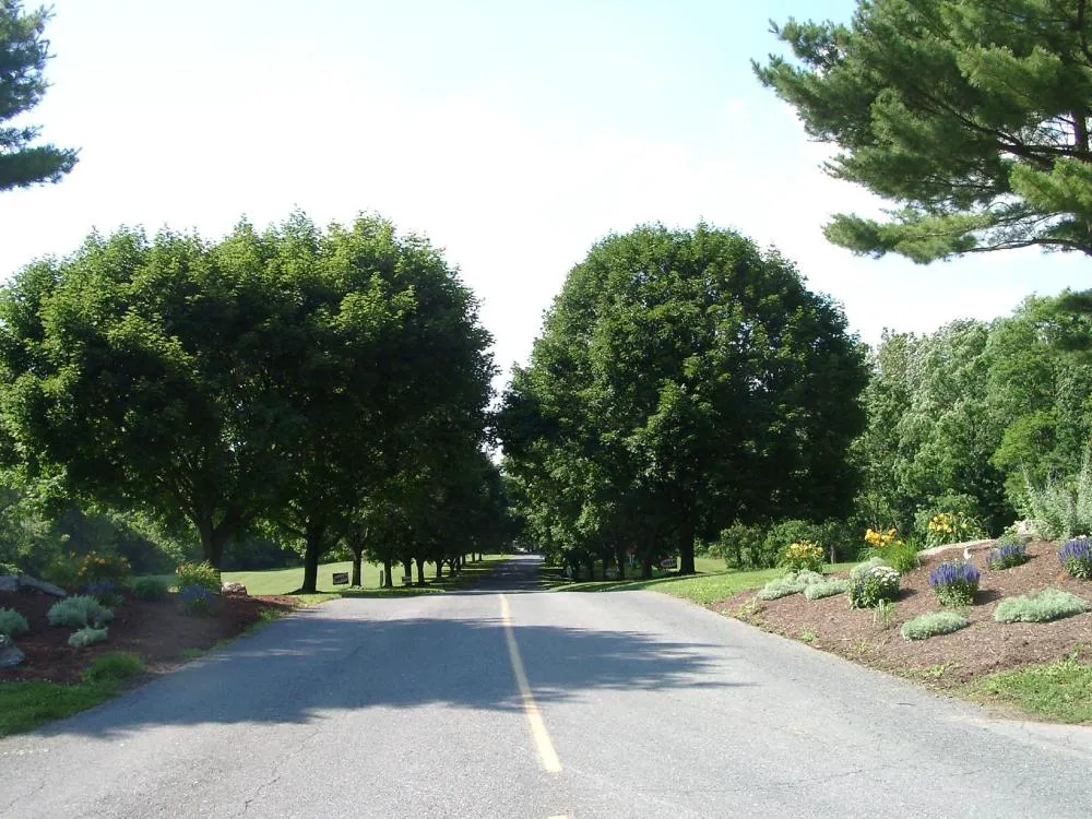 Circle M Camping Resort Loft Park Model hotel hero