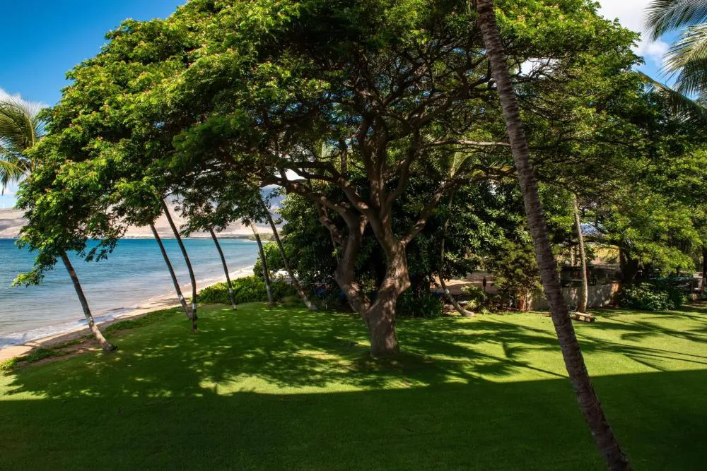 Kealia Resort 205 hotel hero