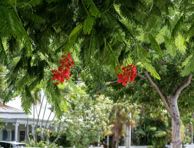 The Porch on Frances Inn hotel detail image 3
