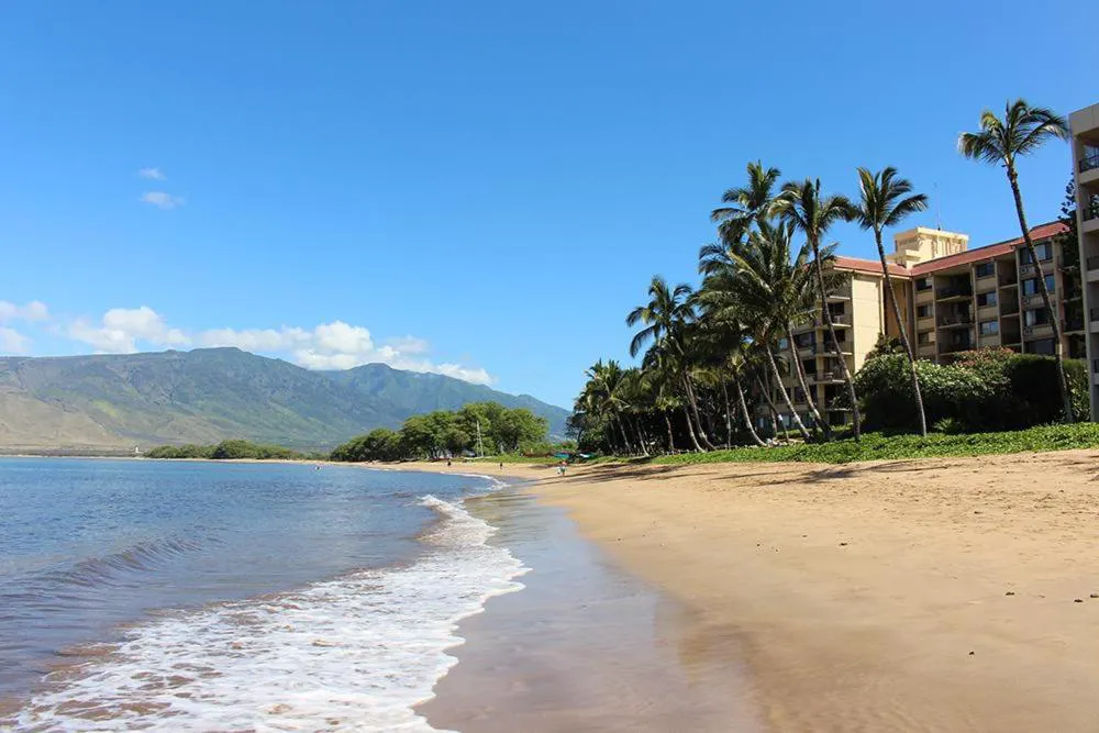 Kealia Resort 203 hotel hero