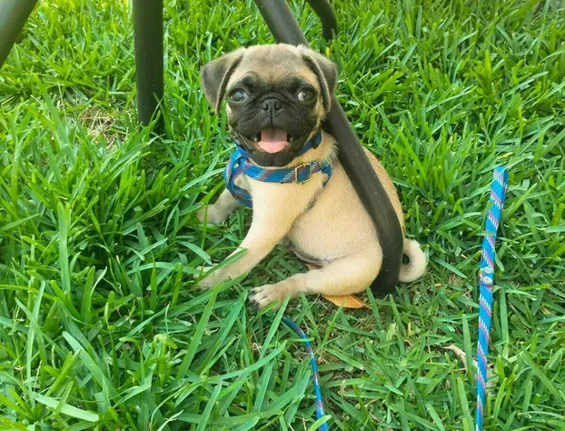 Hotel Boutique Mardeka hotel detail image 3