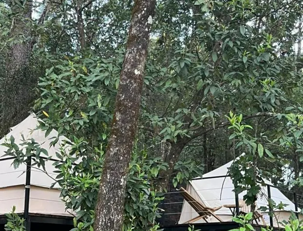 Hotel Oxú hotel detail image 1