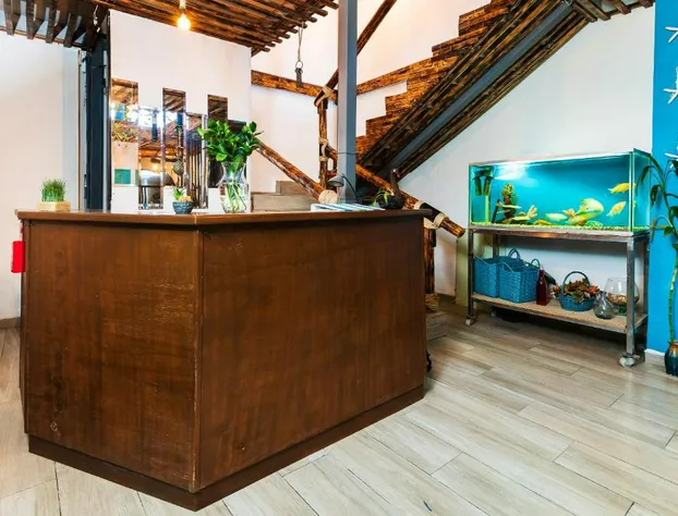 Capital O Posada Del Pescador, Los Cabos hotel detail image 3