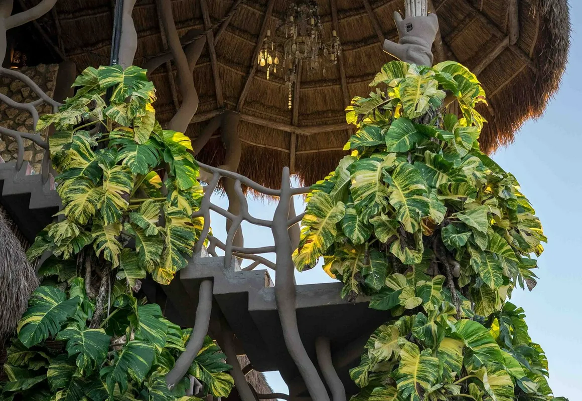 Cielito Hotel Boutique hotel hero