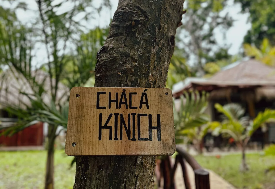 Hotel Boutique Aurea hotel hero