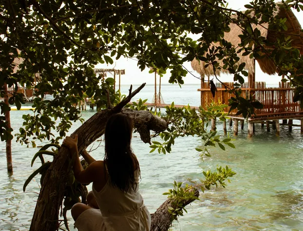 Hotel Boutique Aurea hotel detail image 2