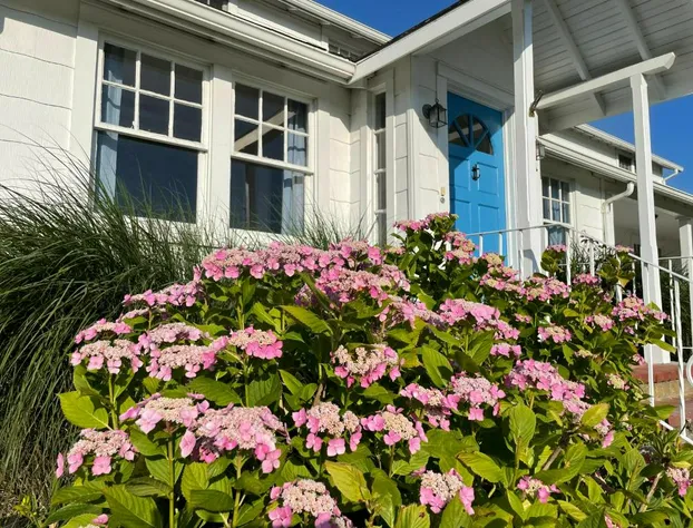 Aria & Mare Hamptons hotel detail image 3