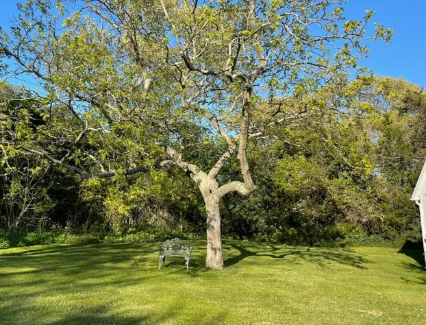 Aria & Mare Hamptons hotel detail image 4