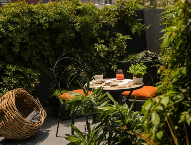 Reforma Guest House hotel detail image 4