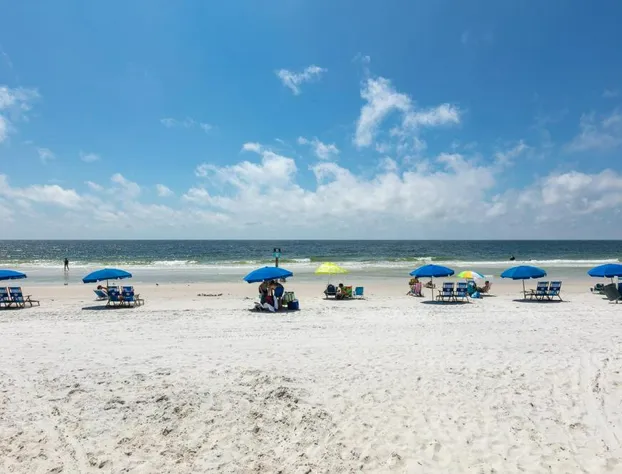 Seacrest #202 hotel detail image 2