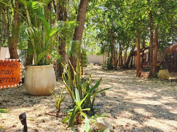 Kin Tulum Jungle Deluxe hotel detail image 2