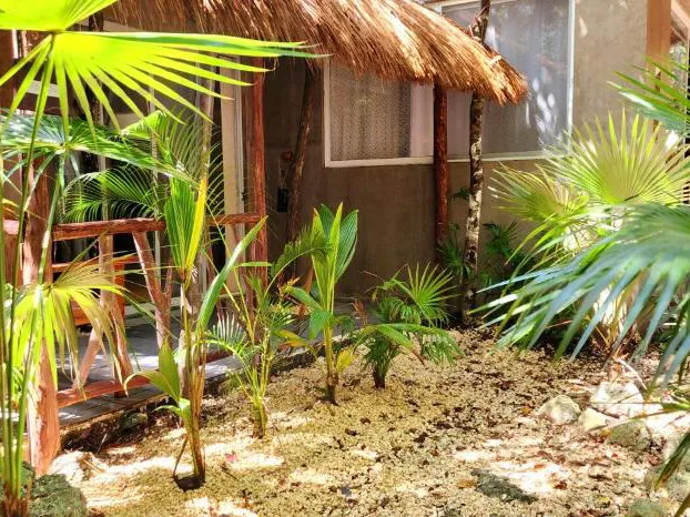 Kin Tulum Jungle Deluxe hotel detail image 3