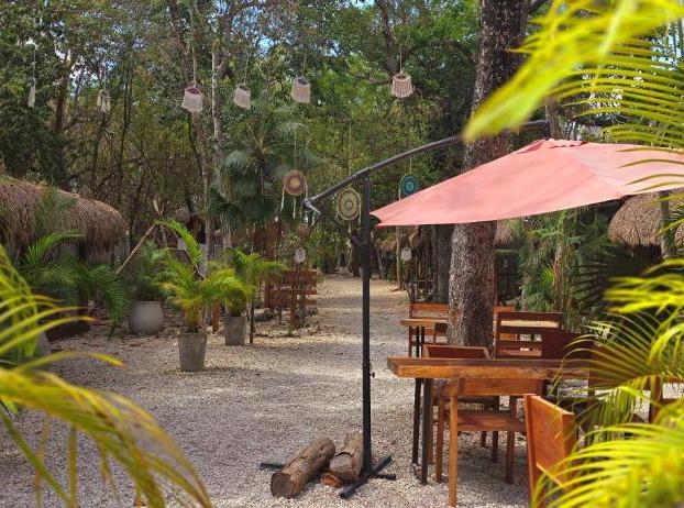 Kin Tulum Jungle Deluxe hotel detail image 3