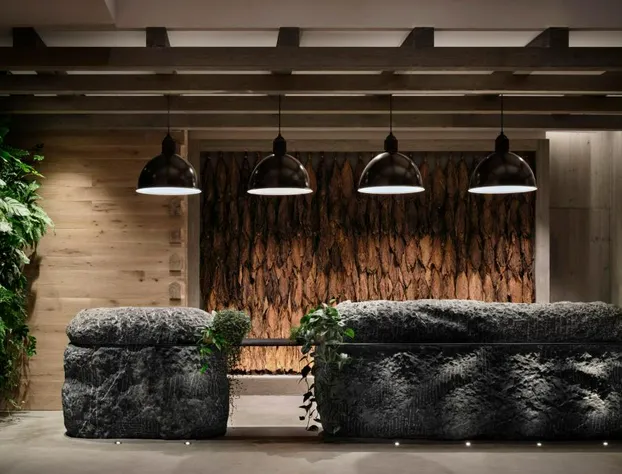 1 Hotel Nashville hotel detail image 3