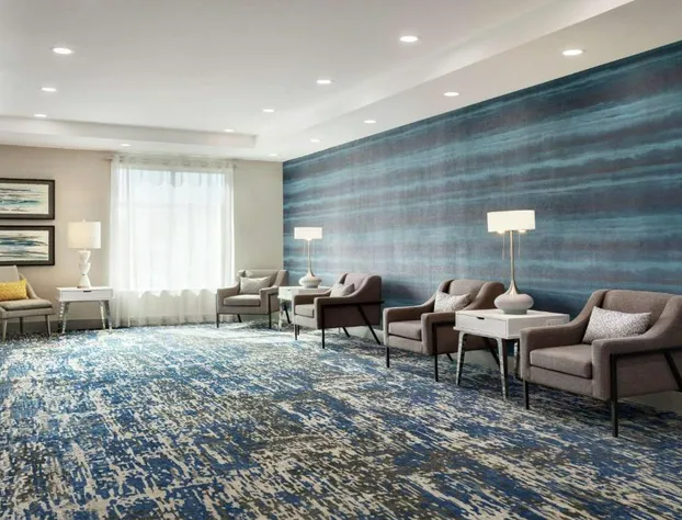 Homewood Suites By Hilton Mcdonough hotel detail image 2