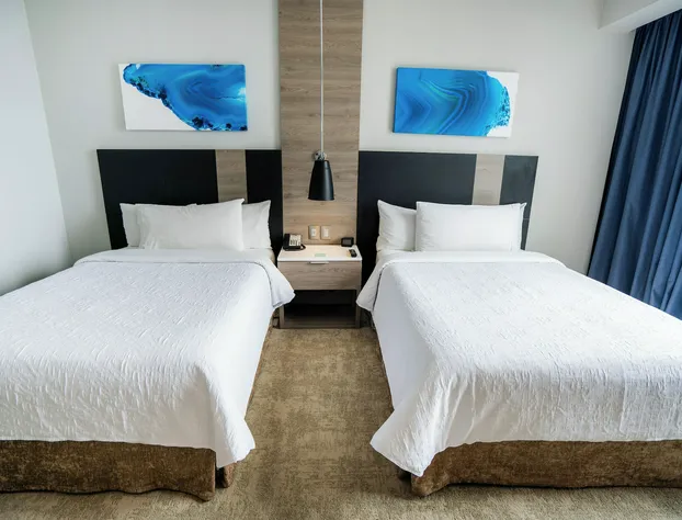 Hilton Garden Inn Mexico City Santa Fe hotel detail image 4