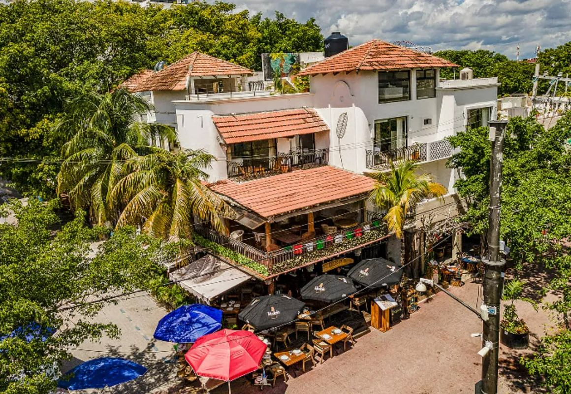 Hotel Banana Boutique & Spa by Paradise Hotels - 5th Av Playa del Carmen hotel hero