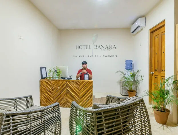 Hotel Banana Boutique & Spa by Paradise Hotels - 5th Av Playa del Carmen hotel detail image 4