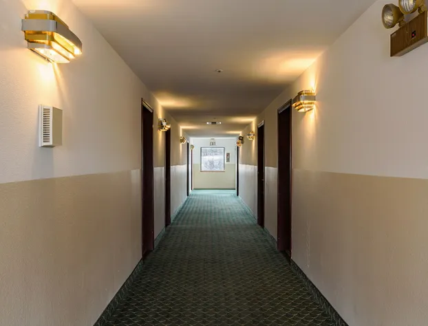 Super 8 by Wyndham Williams West Route 66/Grand Canyon Area hotel detail image 3