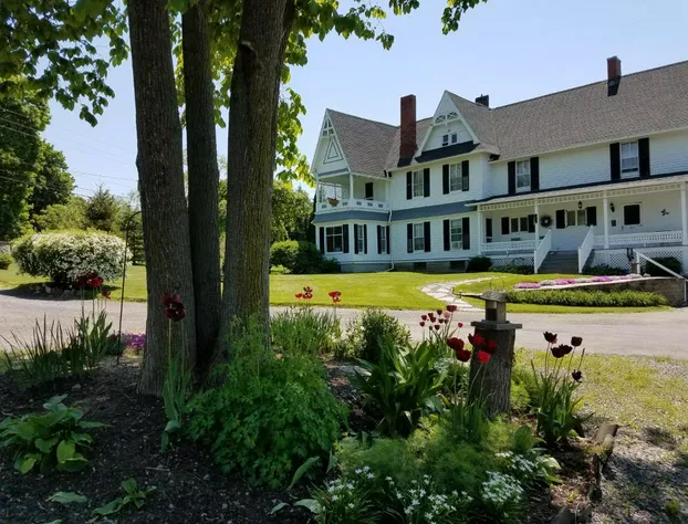 The Fox and the Grapes Bed & Breakfast hotel detail image 2