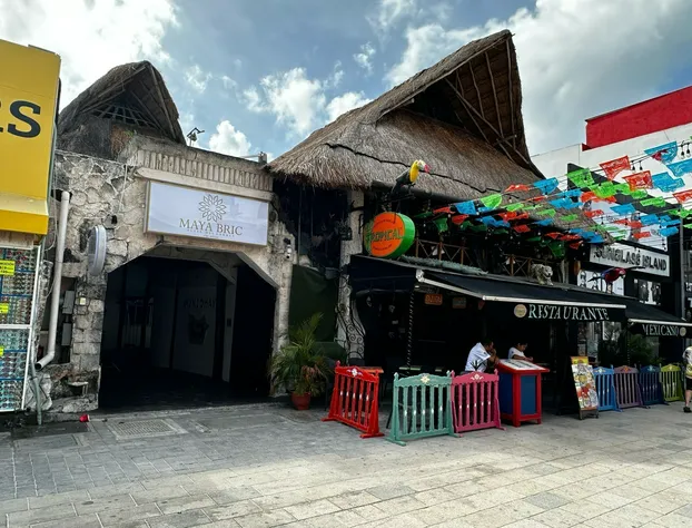 Original Maya Bric hotel detail image 1