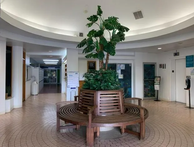 Your Little Piece of Paradise Pool BBQ & Wifi at Inn on the Park 613 hotel detail image 2