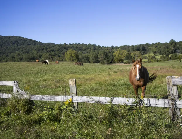 Blue Rock hotel detail image 3