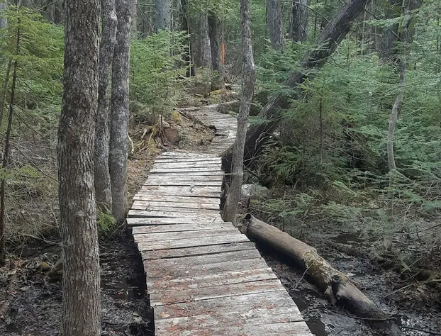 La vie est belle hotel detail image 2