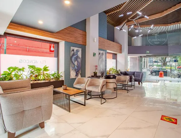 Hotel Flamencos Centro Histórico hotel detail image 2