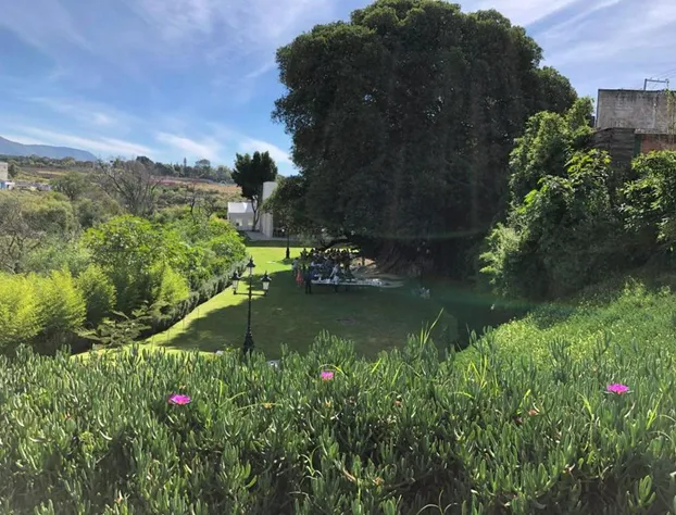 BV Hotel Atlixco hotel detail image 1