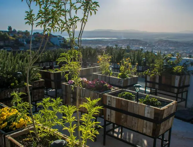 Hotel Amatte San Miguel de Allende hotel detail image 3