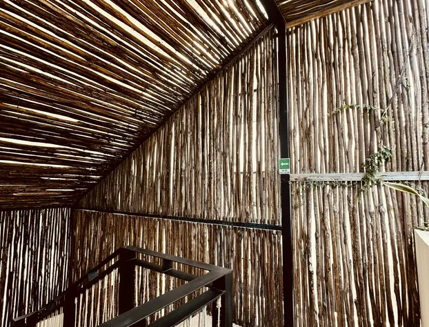 Kuukum Tulum Hotel hotel detail image 4