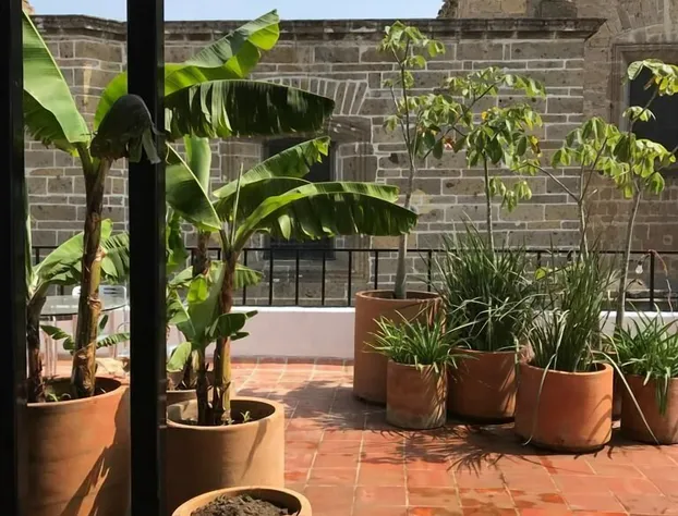 Meson San Felipe hotel detail image 1