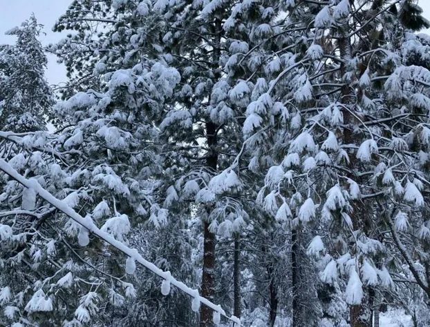 The Old Bear BnB hotel detail image 2