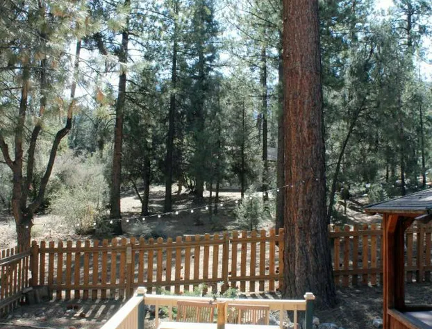 The Old Bear BnB hotel detail image 3