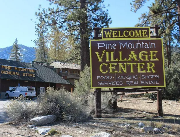 The Old Bear BnB hotel detail image 1