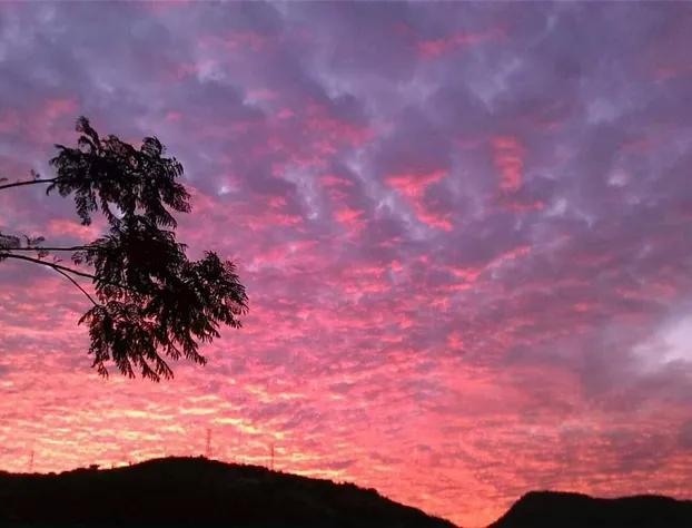 Los Alcatraces hotel detail image 2