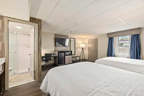 The Elmwood hotel detail image 3