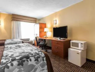 The Douillet by Demeure Hotels hotel detail image 4