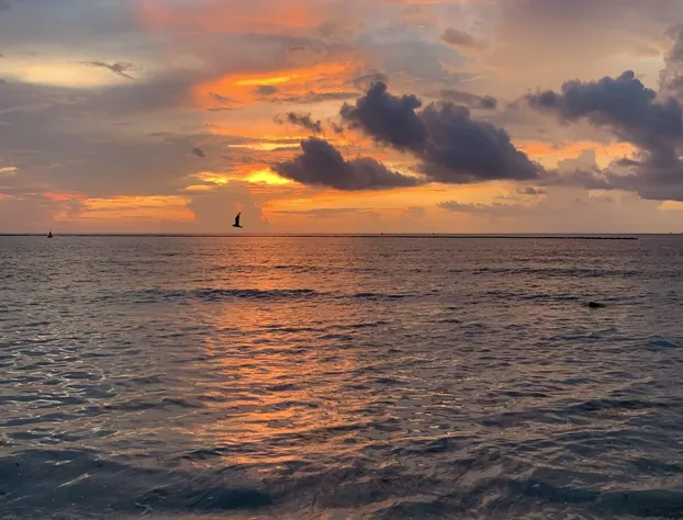 Casa Barka hotel detail image 1