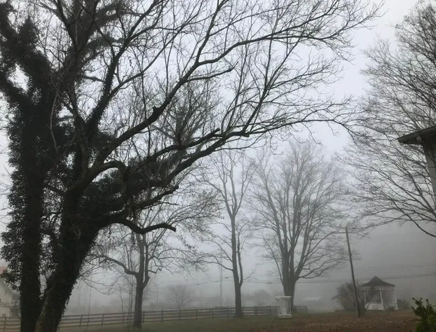 Armour's Hotel hotel detail image 2