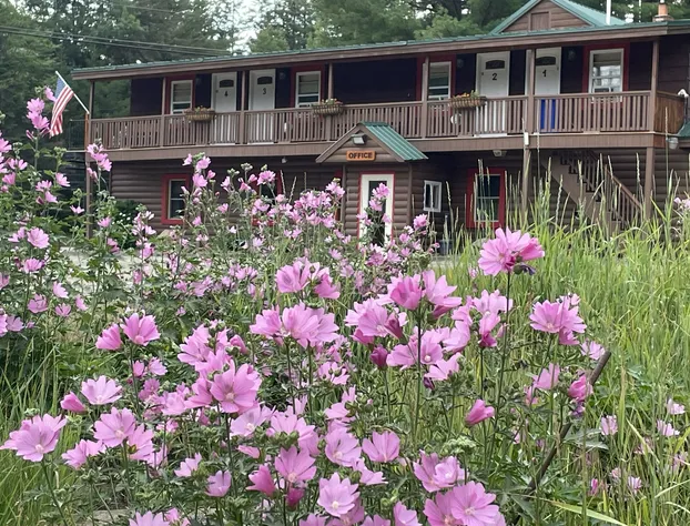 Mountain View Motel & Campground hotel detail image 1