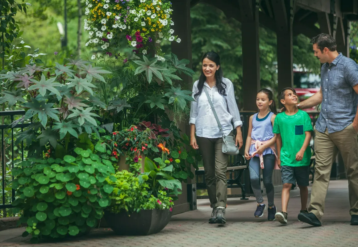 Townsend Place A306 - 2 Br Condo hotel hero