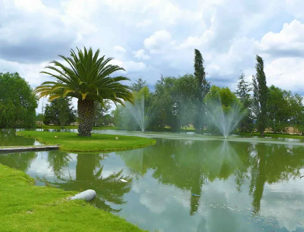 Real de Corralejo hotel detail image 3