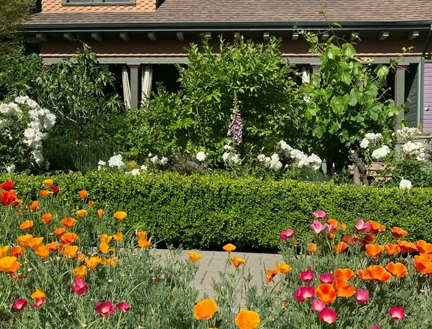 Pinschower Inn hotel detail image 4