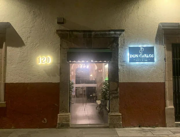 Hotel Don Carlos hotel detail image 1