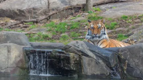 Sleep Inn hotel detail image 4