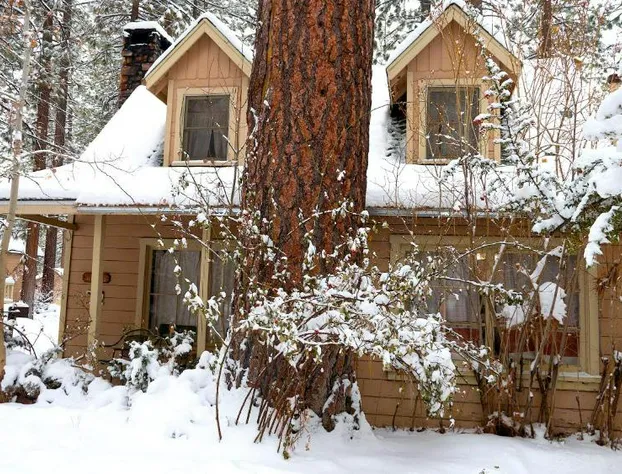 Sleepy Forest Cottages hotel detail image 4