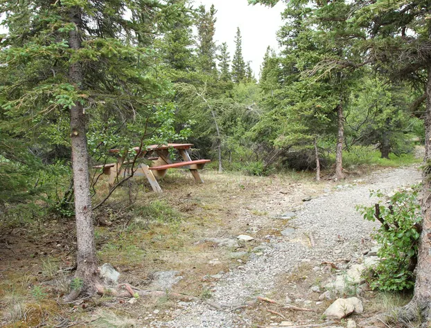 Denali RV Park and Motel hotel detail image 2